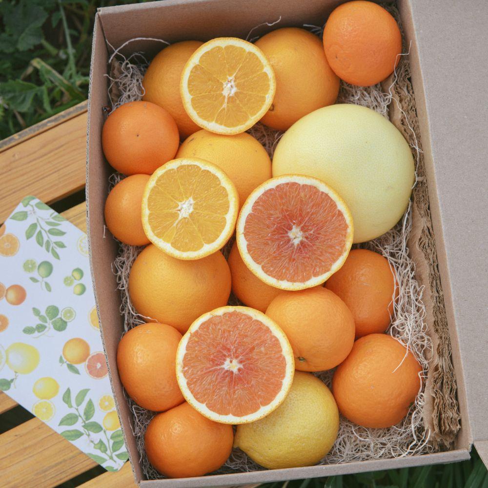 Citrus Blossom Honey